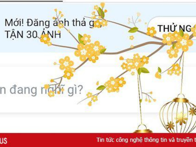 Những từ khóa tạo hiệu ứng Zalo cho dịp Tết năm nay