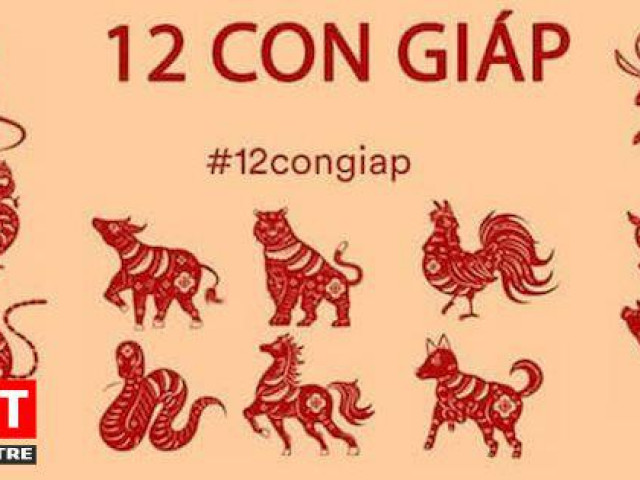 Trong năm 2020, có 3 con giáp nên thận trọng, tránh họa tiểu nhân làm ảnh hưởng đến công việc