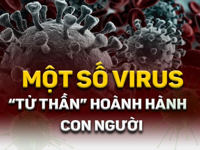 Infographic: Virus Corona và những đại dịch từng hoành hành con người
