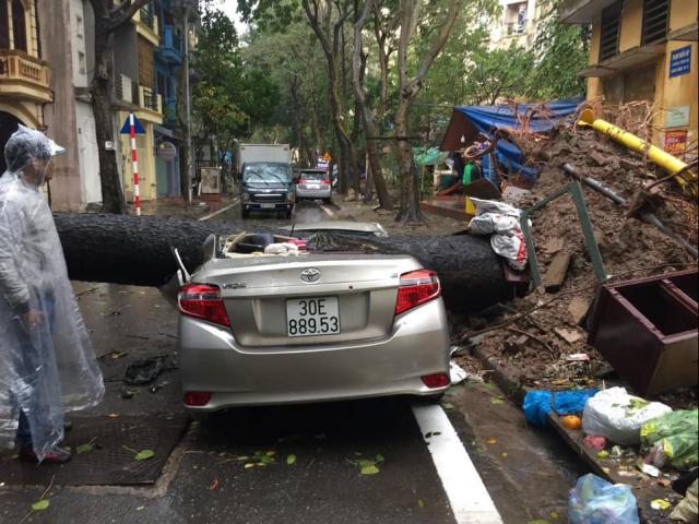 Cây cổ thụ bật gốc, đè nát ô tô sau cơn mưa lớn ở Hà Nội