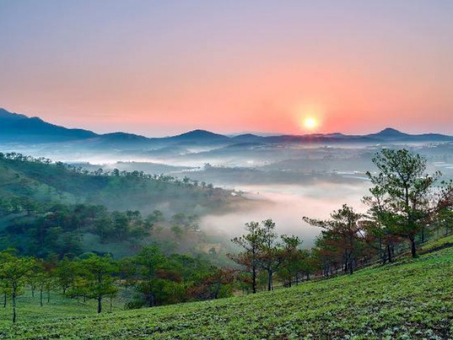 Ngắm Đà Lạt đẹp nao lòng trong buổi sớm bình minh