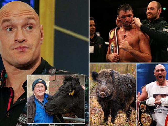 Chấn động: Tyson Fury gian dối doping cấm 8 năm, đai vô địch ai giữ?