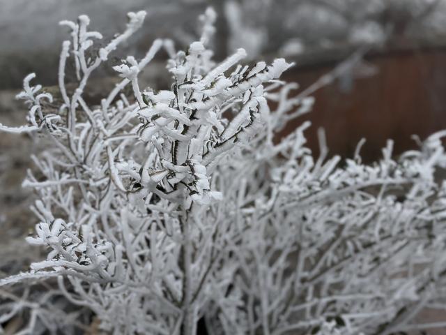 Đỉnh Mẫu Sơn rét -3,4 độ C, băng giá còn phủ trắng nhiều nơi ở miền Bắc