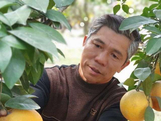 Bí quyết trồng cam “tiến vua” bán giá ngất ngưởng 130.000/quả