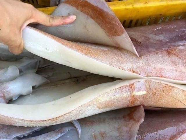 Tiết lộ bất ngờ về loại hải sản ”khổng lồ” giá 49.000 đồng/kg cận Tết