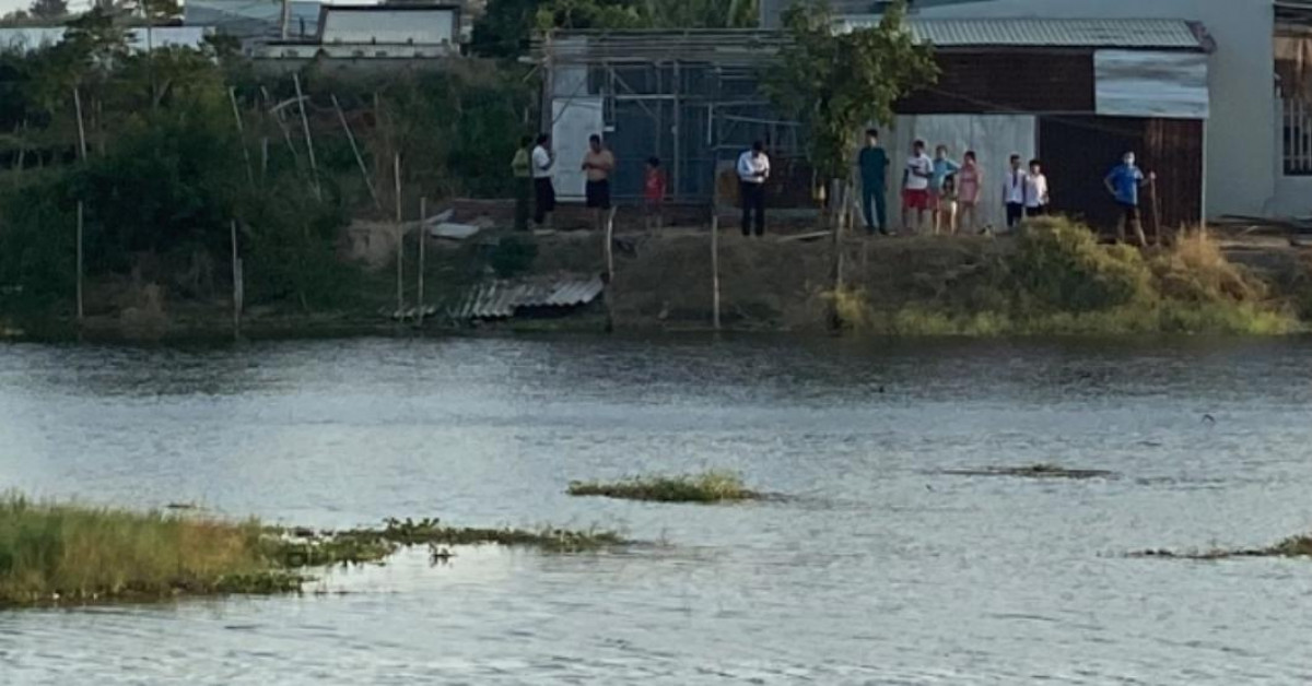 Bà Rịa - Vũng Tàu: 2 con cá sấu xuất hiện ở hồ nước trong khu dân cư