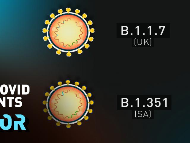 Các biến thể mới của Covid-19 đáng lo ngại như thế nào?