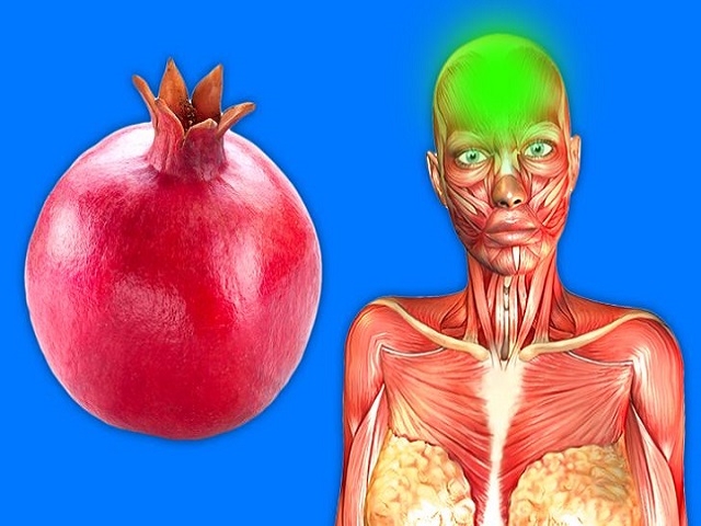 Điều gì sẽ xảy ra với cơ thể nếu bạn ăn 1 quả lựu mỗi ngày?