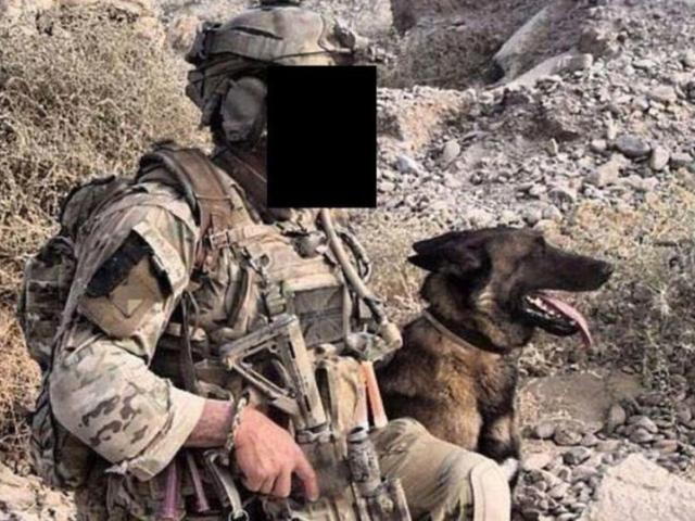 Số phận bất ngờ của những chú chó chiến đấu ”hết đát” trong quân đội Anh