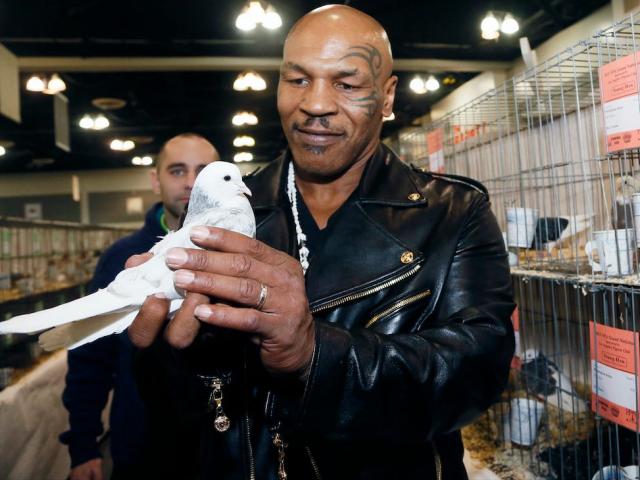 Tay chơi khét tiếng Mike Tyson chi 2 triệu đô, đấm gục người khác vì 1 chú chim