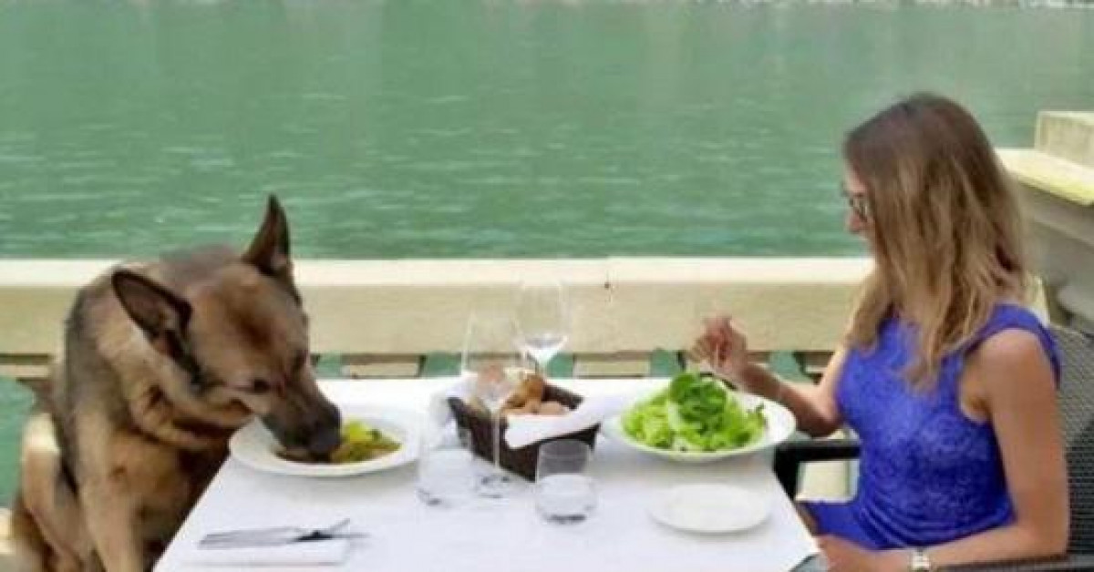 Cận cảnh cuộc sống của chú chó giàu nhất thế giới: Lúc ăn phải có mỹ nữ tháp tùng