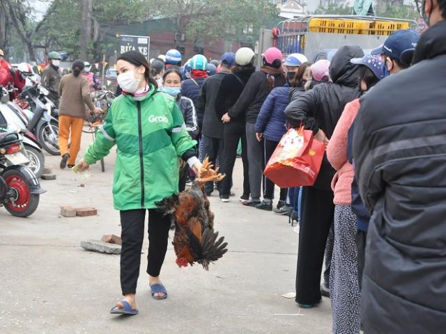 Gà đồi Chí Linh giá chỉ 55.000 đồng/kg, hàng trăm người Hà Nội xếp hàng mua giải cứu