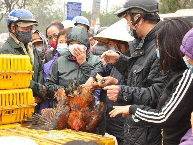 Nóng tuần qua: Người dân Hà Nội xếp hàng 2 tiếng mua gà giải cứu