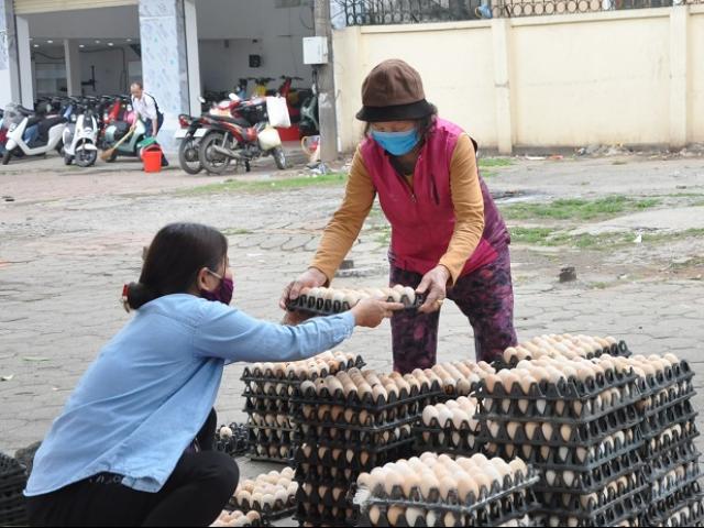 Trứng gà rẻ chưa từng có, bán vạn quả lỗ hàng chục triệu đồng