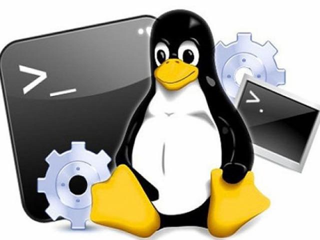 Hệ điều hành Linux là gì? Ưu, nhược điểm, cách cài đặt và sử dụng