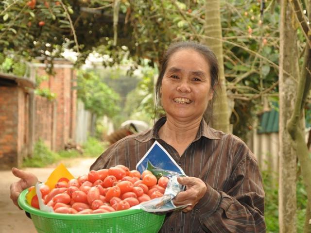 Trồng thứ quả quê chín đỏ mọng khắp vườn, dân Hà Nội hái không kịp bán