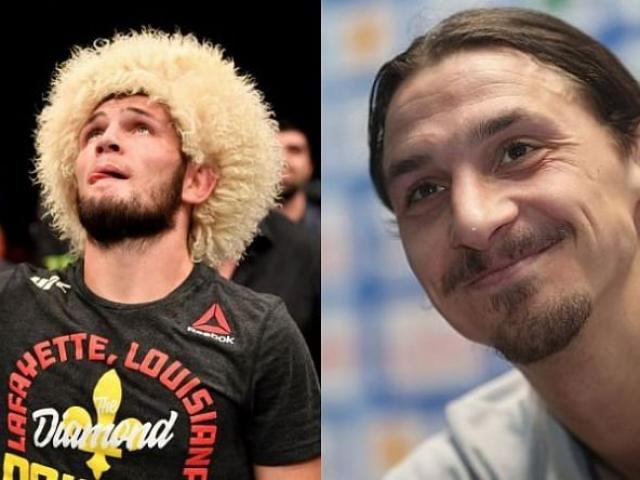 Ibrahimovic rủ võ sỹ Khabib đá cho AC Milan, mỹ nhân MMA bị trêu khiếm nhã