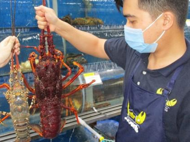 Tôm hùm, nho Úc giá rẻ đổ bộ Việt Nam