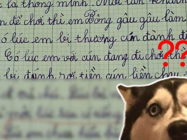 Học sinh tiểu học làm văn miêu tả cún cưng, dân tình càng đọc càng thấy ”sai sai”