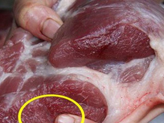 Thịt lợn có 6 dấu hiệu này, giá rẻ như cho cũng không được mua
