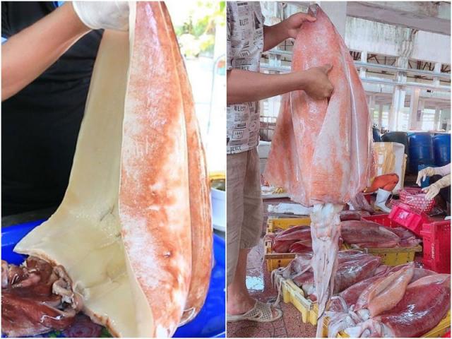 Mực khổng lồ ”như quái vật” ở Việt Nam, 640.000 đồng/kg hàng có bao nhiêu cũng hết