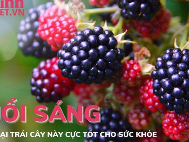 Buổi sáng ăn 5 loại quả này cực tốt cho sức khỏe