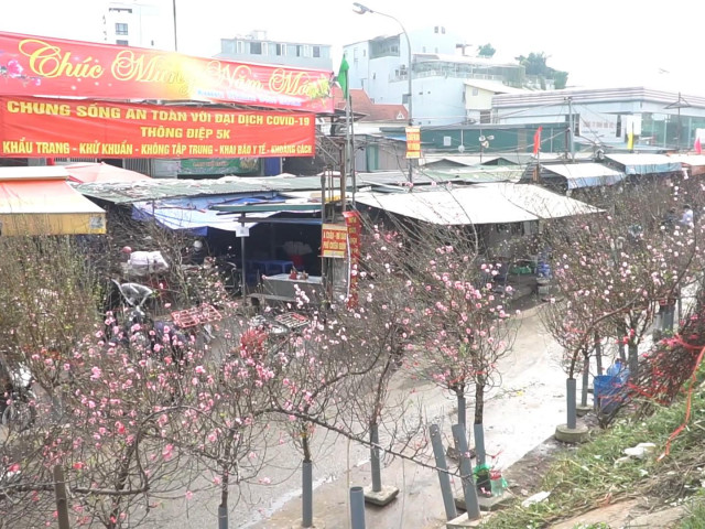 Video: Không khí Tết tràn ngập khắp phố phường Hà Nội