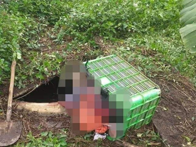 Người phụ nữ nghi bị sát hại, thi thể giấu dưới hầm biogas