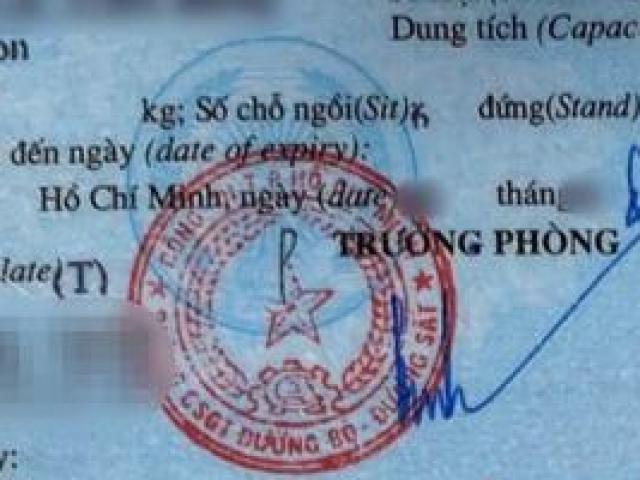 Chuyên gia nói gì về cà-vẹt ô tô sai tiếng Anh?