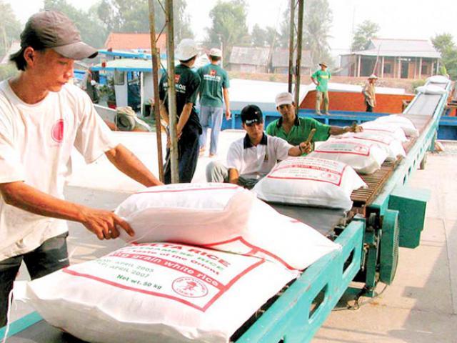 Giá gạo xuất khẩu “lên đỉnh”, vượt cả “ông trùm” Thái Lan
