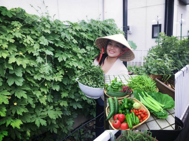Khu vườn xanh mát bội thu rau quả sạch đáng nể của mẹ Việt ở Nhật