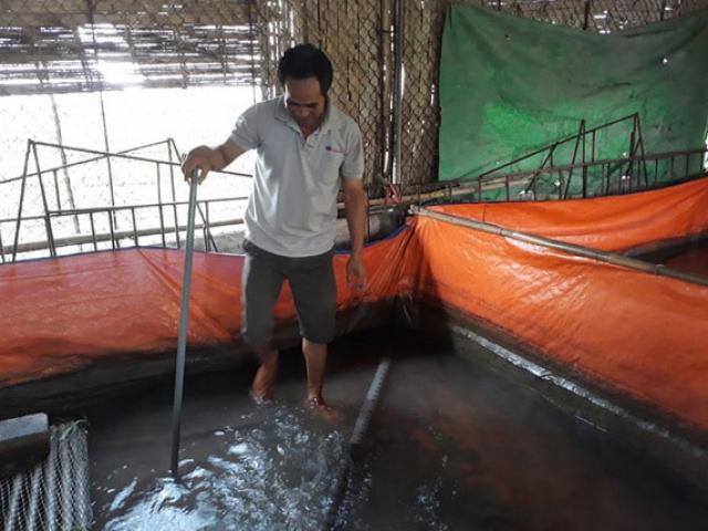 Hưng Yên: Lót bạt nuôi lươn không bùn, nông dân có thêm tiền tiêu