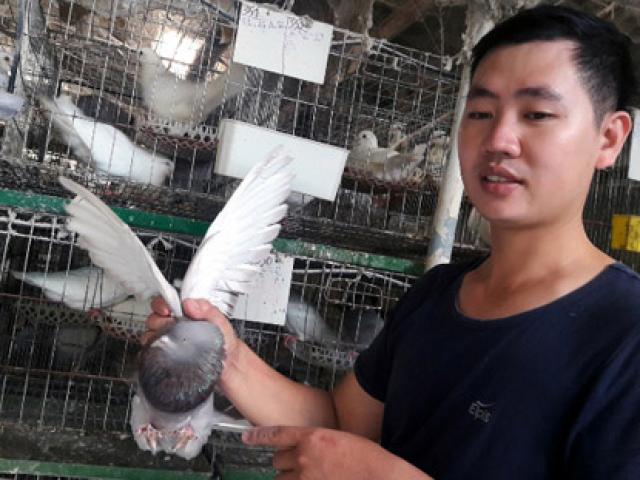 Anh thợ sửa ôtô đam mê nuôi chim, mỗi tháng lãi 15-20 triệu đồng