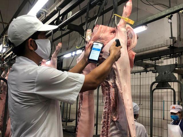Nhập khẩu thịt tăng 6,7%: Không quản, Việt Nam thành bãi rác thịt nhập
