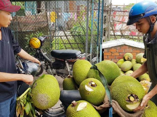 Trung Quốc ”ăn” cầm chừng, giá mít Thái rớt thảm hại