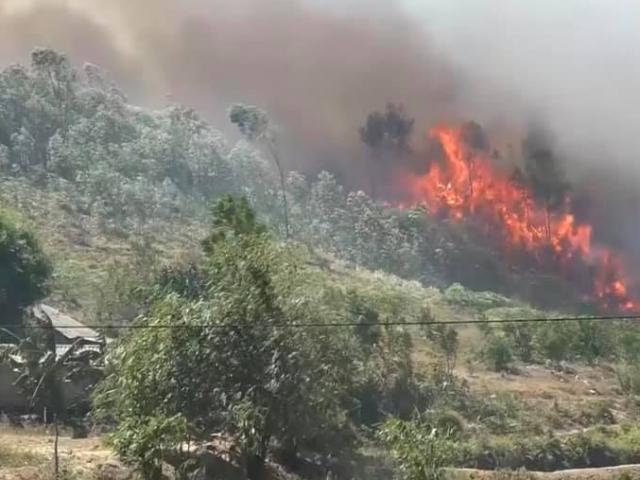 Tham gia dập lửa cứu rừng, người phụ nữ bị thiêu cháy