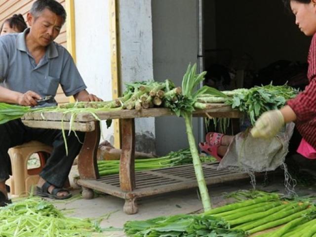 Thứ nhìn như rơm từng được tiến vua, nay cháy hàng nhờ dân ”sành ăn” tìm mua