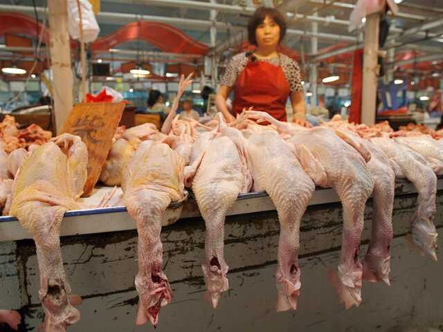 Chợ buôn bán động vật Vũ Hán gây tranh cãi khi tấp nập hoạt động sau dịch Covid-19