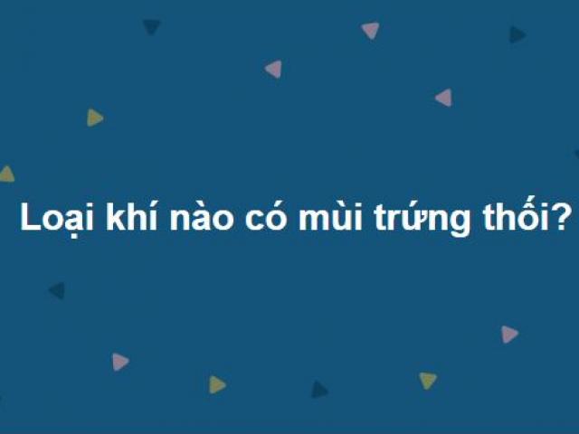 Trắc nghiệm: Giáo sư biết tuốt cũng ”toát mồ hôi” với 15 câu hỏi này