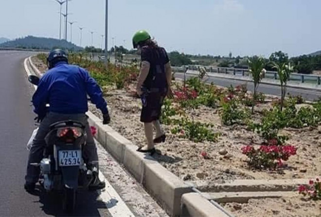 Hơn 3.000 cây hoa giấy trên quốc lộ ngàn tỉ bị lấy trộm
