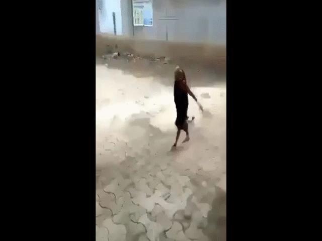 Video: Thấy rắn hổ mang mò vào nhà, cụ bà nắm đuôi lôi xềnh xệch ra ngoài