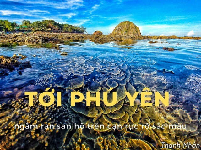 Tới Phú Yên ngắm rạn san hô trên cạn rực rỡ sắc màu