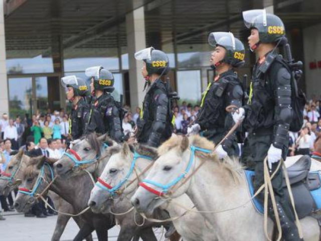 Đoàn Cảnh sát cơ động Kỵ binh: Giống ngựa kỵ binh sức khoẻ tốt, ngoại hình phù hợp