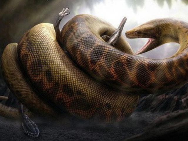 Mãng xà Titanoboa: Con quái vật có thể nuốt chửng cả khủng long