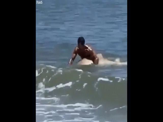Video: Liều lĩnh nhảy xuống biển, tay không giật hàm cá mập để chụp ảnh