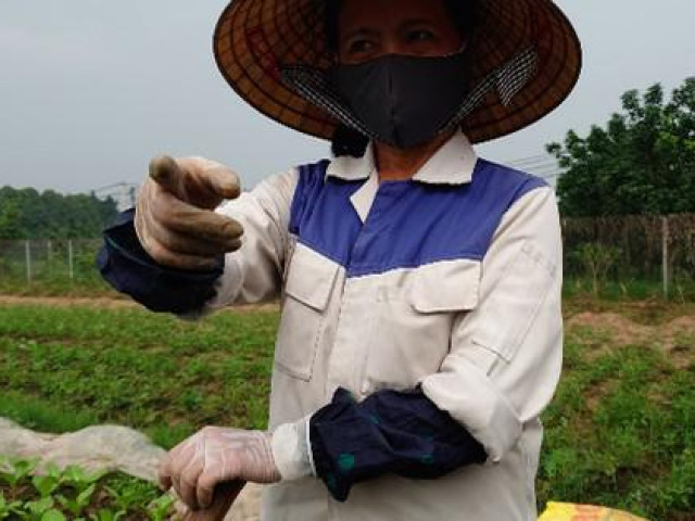 “Ăn theo” quy hoạch, đất tăng giá (5): Người làm vườn cũng thành “cò” tư vấn bất động sản