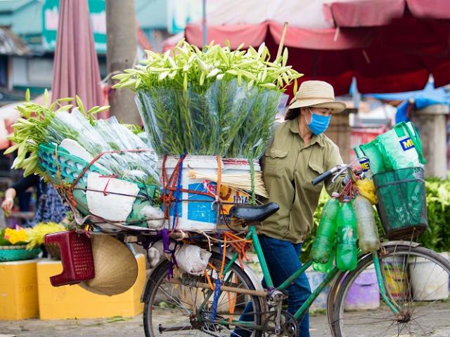 Hà Nội: Xao xuyến những xe hoa loa kèn chở nguồn sống của nhiều lao động ngoại tỉnh