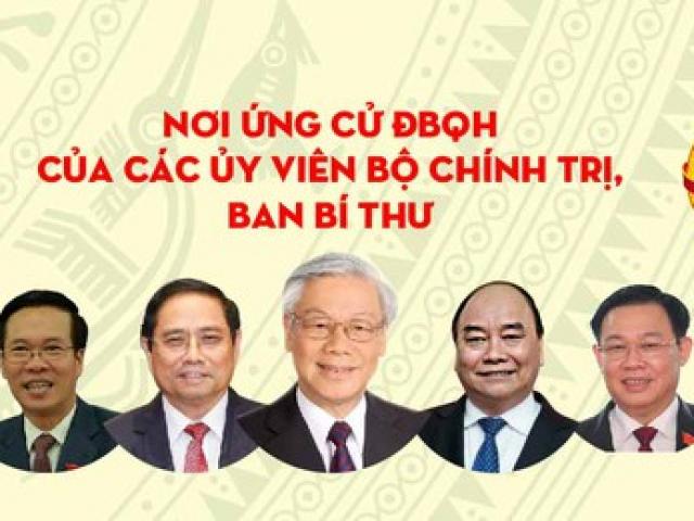 Các Ủy viên Bộ Chính trị, Ban Bí thư ứng cử ĐBQH ở đâu?