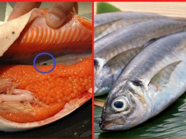 2 bộ phận không nên ăn ở cá, cẩn thận trúng độc