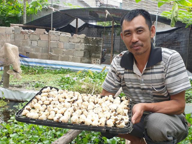 Mua con vật này nuôi chơi, lão nông Thanh Hóa bỗng thu về hàng trăm triệu/năm